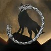TURTLEDOVE Viking Wolf Head Necklace and Fenrir Bangle Set, Stainless