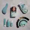 Clinuance Permanent Colouration without Ammonia, Sensitive Hair, 5.3 Chestnut Golden