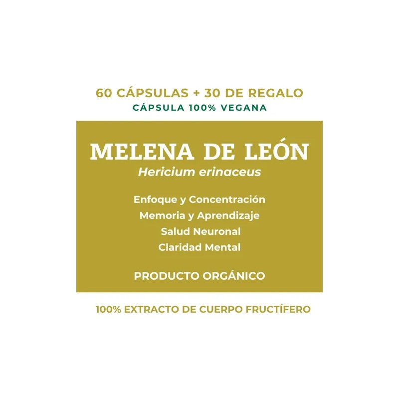 Lions Mane Melena De León Hongo Memoria Y Enfoque 720