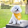 Parisian Pet Unisex Dog Bandanas with Printed 'Born to Run'