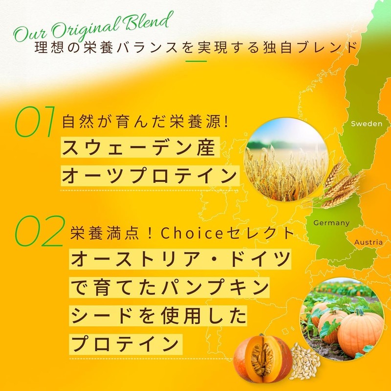 Choice ゴールデン プラント プロテイン+ 500g ココア 植物性たんぱく質 植物 プロテイン パンプキンシード