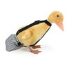 Duckling Diapers with Elastic Rope for Baby Duck Pet Duck