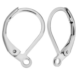 Beebeecraft 1 Box 50Pcs 316L Surgical Stainless Steel Lever Back Earring Clasps Leverback French Earring Hooks for Making Dangles Earrings