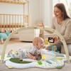 Baby Play Gym Activity Mat: with 5 Developmental Zones Tummy