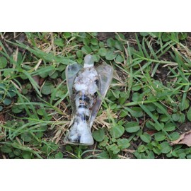 PRAJET CRYSTALS Prajet Energized Orgonite Healing Crystal Orgone Guardian Angel Copper Metal Mix Rare Healing Positive Energy Approx. Size 2 Inch (R. Moonstone Angel Orgone)