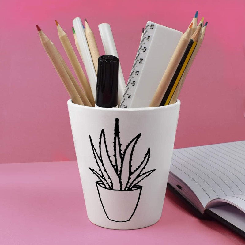 'Aloe Vera Plant' Ceramic Plant/Flower Pot (FP00004868)