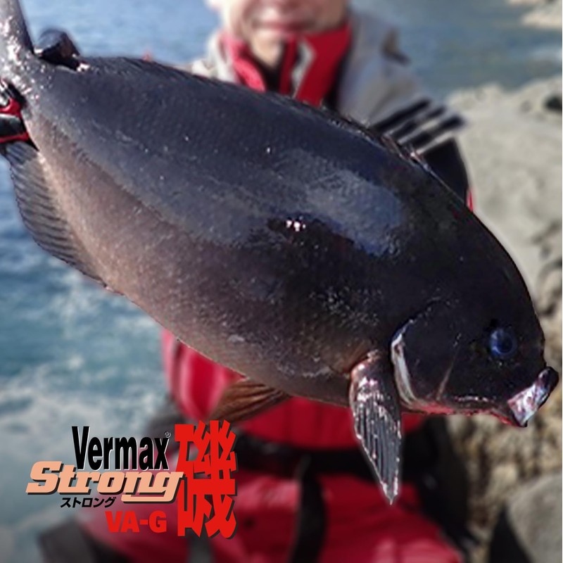VARIVAS Nylon Line Barmax Iso Strong Type 150m No. 4