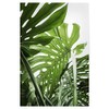 artboxONE Bundle Plants, jungle, 30x20 cm