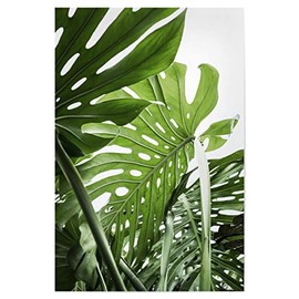 artboxONE Bundle Plants, jungle, 30x20 cm