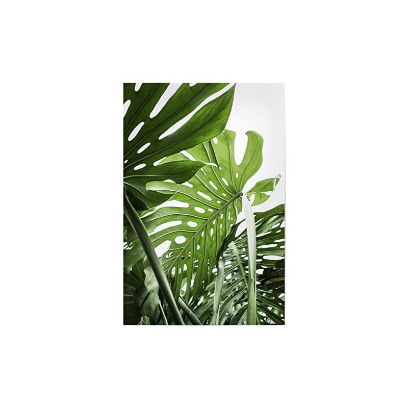 artboxONE Bundle Plants, jungle, 30x20 cm