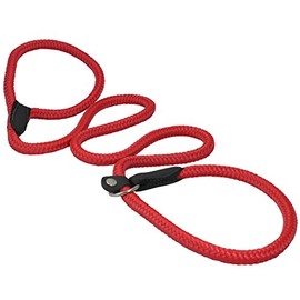 Dogs My Love Nylon Rope Slip Dog Lead Adjustable Collar and Leash 6ft Long (X-Large: 1/2" (12mm), Red)