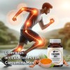 Pack Curcumina Max Nutrientes Vidalabs México Y Artiblend Laboratorios Wöhl