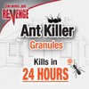 Revenge Ant Killer Granules, 4 lbs. Ready-to-Use Fast Acting Perimeter