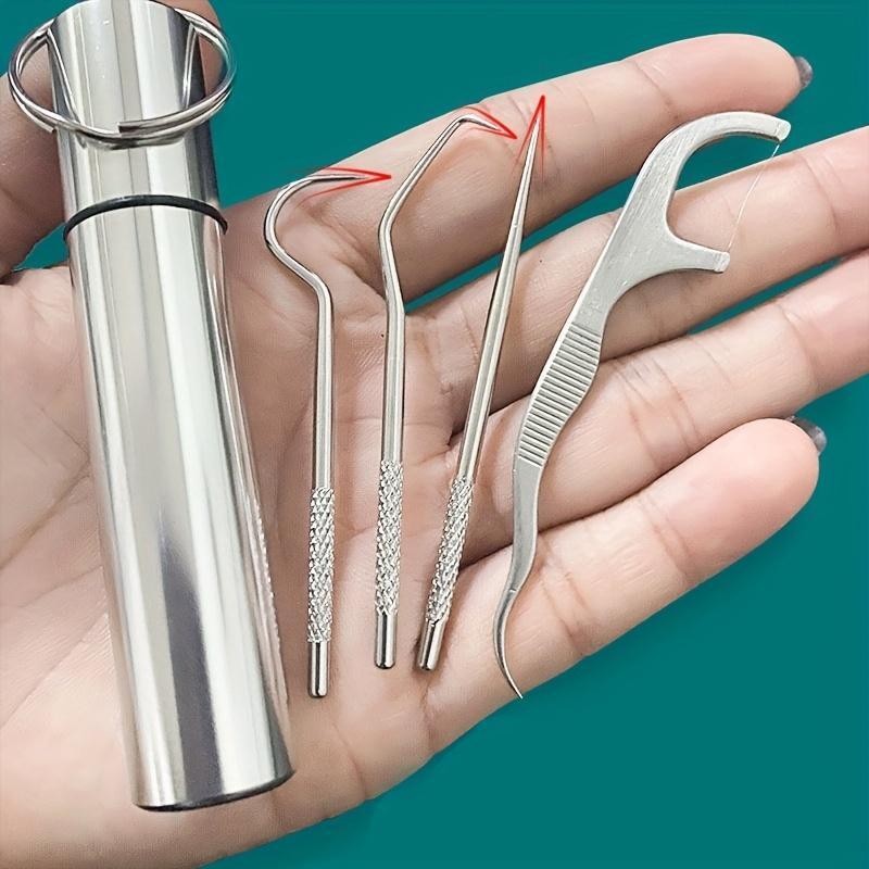 Stainless Steel Toothpick Set with Holder - Portable Teeth Cleaning