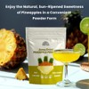 Pineapple Powder - 16 oz | 100% Natural Pineapple Powder