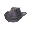 Bullhide Hilltop - Leather Cowboy Hat (Chocolate, Large)