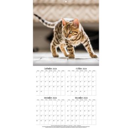TURNER PHOTOGRAPHIC Curious Kittens Photo Mini Wall Calendar (25998950004)