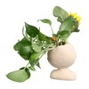 Face Flower Pot Head Planter Pots Resin Succulent Planter with