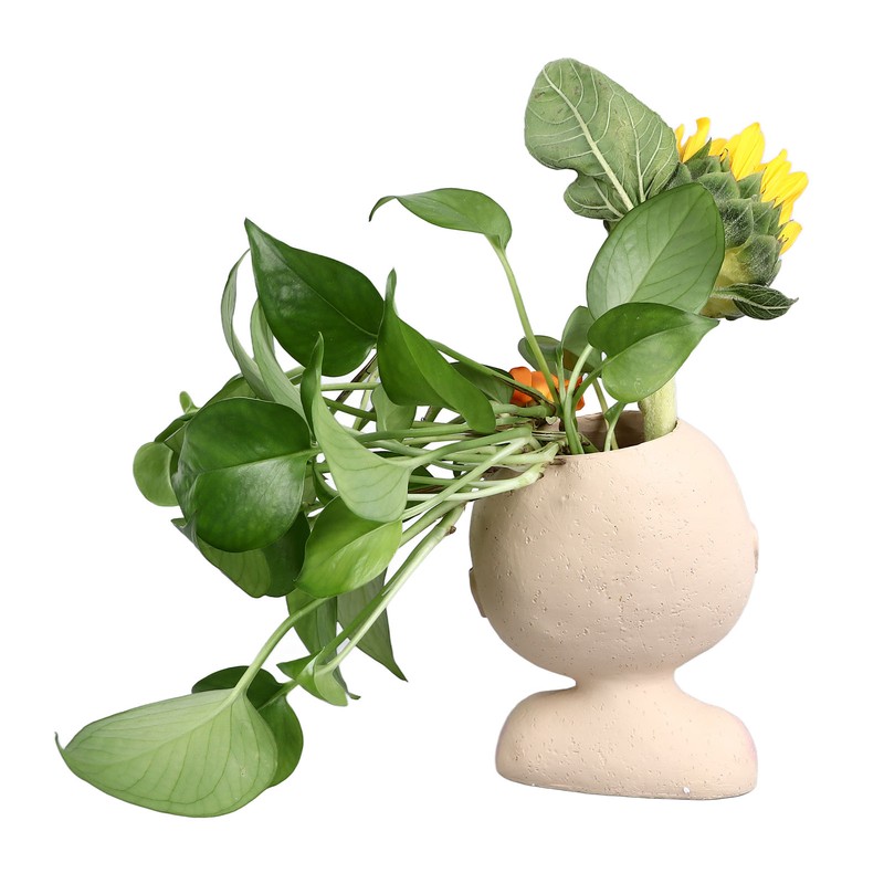 Face Flower Pot Head Planter Pots Resin Succulent Planter with