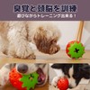 EU SOU Dog Chew Toy, Strawberry, Dog Toy, Nosework, Toothpaste,