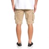 Element Quiksilver Crucial Battle 21 Inch Cargo Shorts for Men