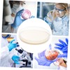 ULTECHNOVO 10pcs Nutrient Agar Plates Petri Dishes Agar Medium for