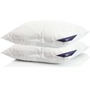 Set of 2 (Children) Down Feather Pillow Pillow Pillow Down
