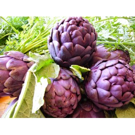 CEMEHA SEEDS - Seeds Purple Globe Artichoke Non GMO Vegetable for Planting