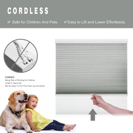 Changshade Cellular Shades Cordless Blinds for Indoor Windows, Honeycomb Blinds Pleated Window Shades Light Filtering for Bedroom, Bathroom, Shade Size 50 inch High 27 inch Wide, Gray