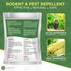 ADDOT Natural Peppermint Oil Mouse Repellent – 10-Pack, 40g Each