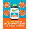 Zenwise Health No Bloat – Probiotics & Digestive Enzymes with