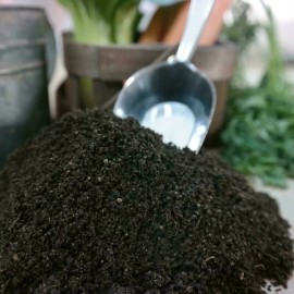 Wiggle Worm Organic Worm Castings – Nutrient-Rich Soil Supplement for Houseplants  - 1/4 Pound