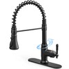 HOIGY Black Kitchen Faucet with Pull Down Sprayer, 3-Function Kitchen
