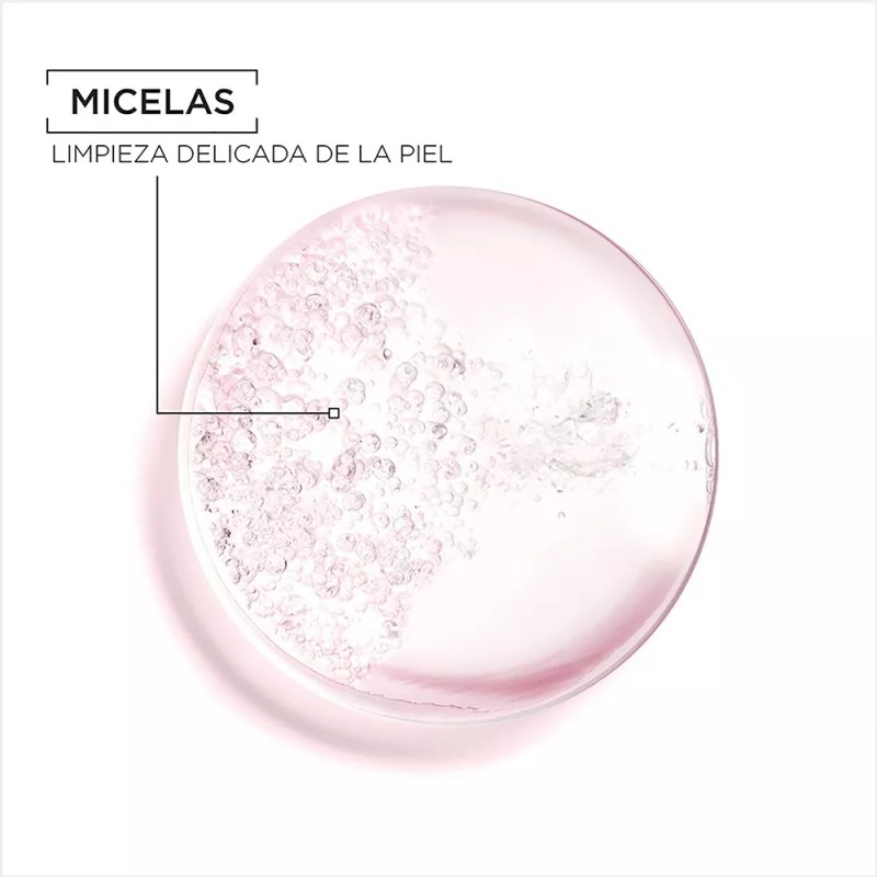 Garnier Kit Garnier Skin Active Agua Micelar Todo En 1,