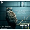 GE LED+ Dusk to Dawn Daylight A19 (1-Pack)