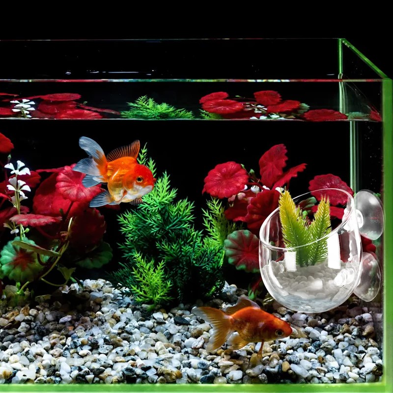 Hiceeden 6 Pack Aquatic Plant Cup with 2 Suction Cup,