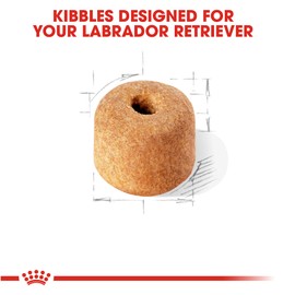 Royal Canin Labrador Retriever Adult Dry Dog Food, 30 lb bag
