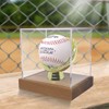Gold Glove Baseball Display Case Holder by Display Zone –