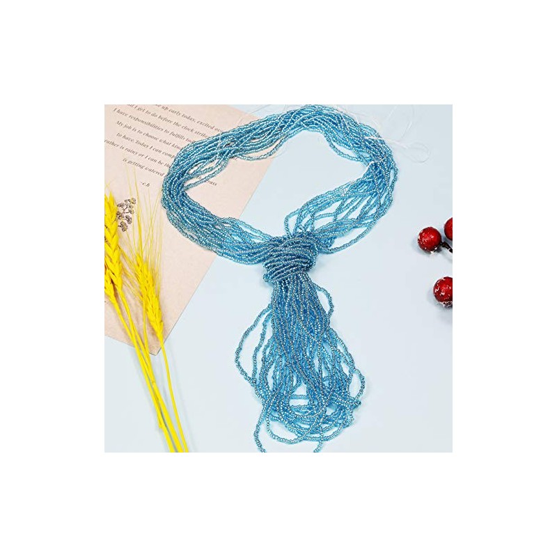 BALABEAD 11/0 Sliver Lined Seed Beads String Hanks,1 Hank 3