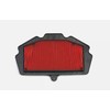 NEW 2024 GENUINE OEM KAWASAKI ELIMINATOR 450 AIR FILTER ELEMENT