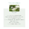 DERMASHARE Serum Stick Balm, Moisturizing Tea Tree Oil, Deer, Ceramide,