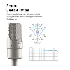 TAKSTAR XLR Condenser Microphone, PC-K200 II Recording Cardioid Mic with Ultra-Low Self-Noise, Balanced Sound, Power Indicator, Studio Singing Microphone for Live Streaming, Gaming, Broadcast