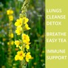 60 Mullein Leaf Tea Bags for Lungs, VitalForest 100% Pure