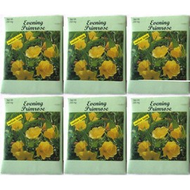(6 Pack) 250 mg/Package Evening Primrose Heirloom Variety Seeds