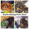 Apatal Reptile Bathing Pool 2-in-1 Tortoise Water Dish with Ramp