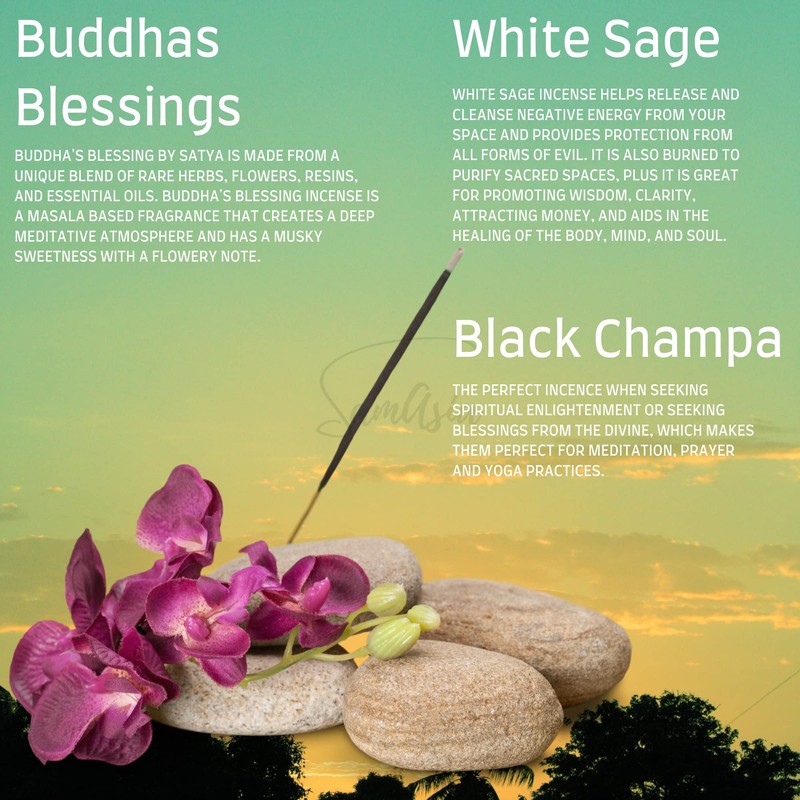 Satya Nag Champa Black Champa, Buddhas Blessings and White Sage