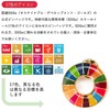 Light SDGs Badge, 1.0 inches (25 mm), Anti-peel, Round Surface,