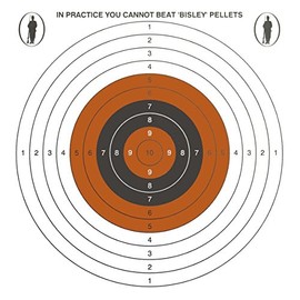 Bisley 17cm Single Targets Economy Grade 3 Paper Pack of 100