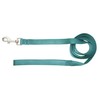 Hamilton 4-Feet Long Single Thick Deluxe Nylon Lead with Swivel