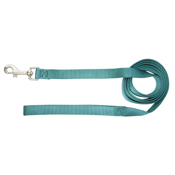 Hamilton 4-Feet Long Single Thick Deluxe Nylon Lead with Swivel